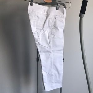 NWT Ann Taylor Modern Crop